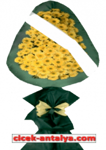 ÜRÜN KODU GAS11 Gelin Arabası Süsleme