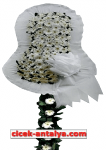 ÜRÜN KODU GAS11 Gelin Arabası Süsleme